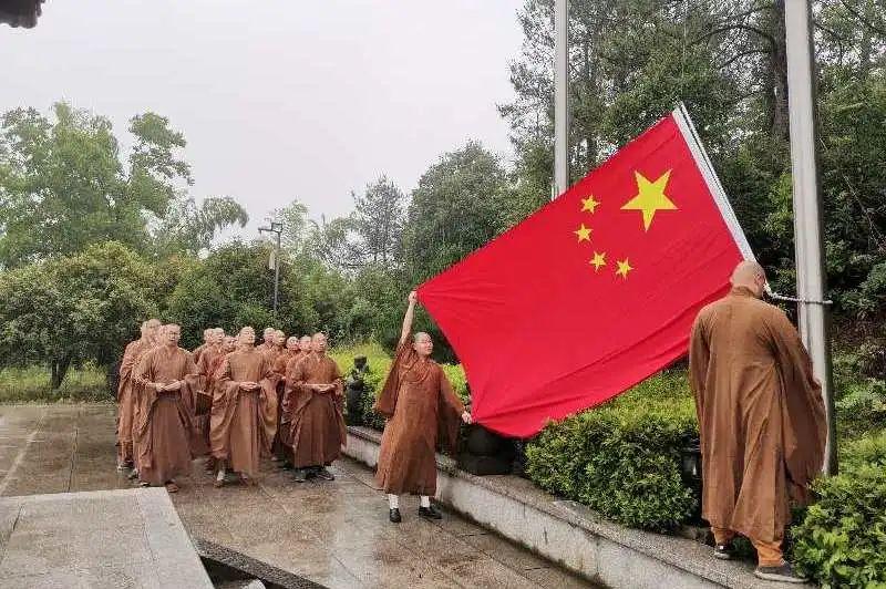 救援可爱的狮子