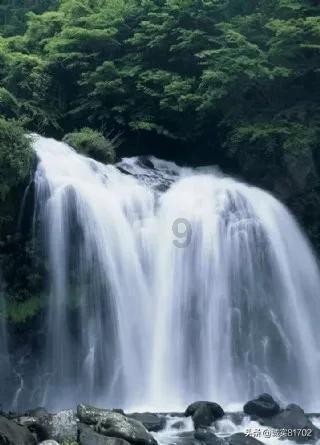 逗小猴开心系列208