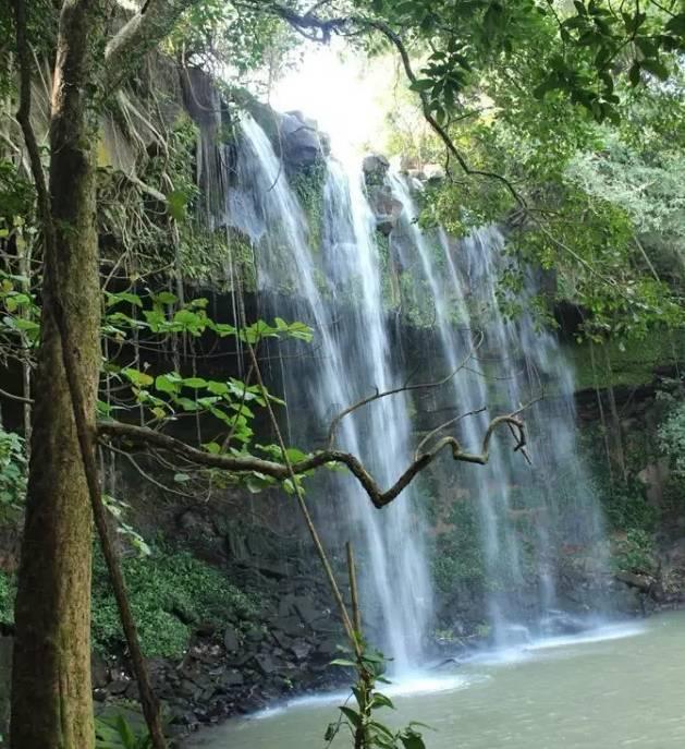 逆水寒